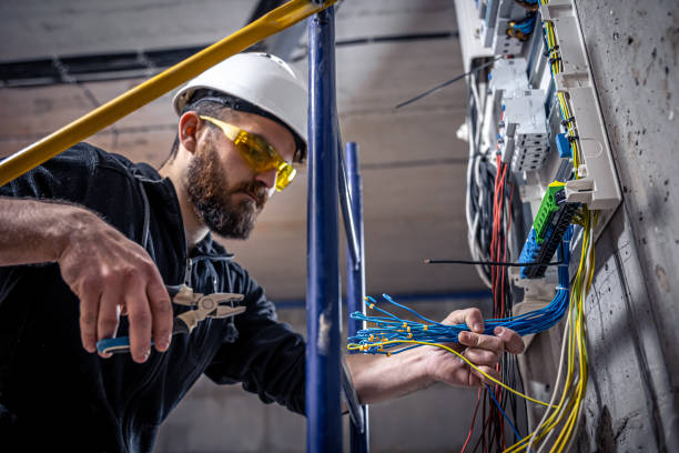 Best Industrial Electrical Services  in Dundee, MI