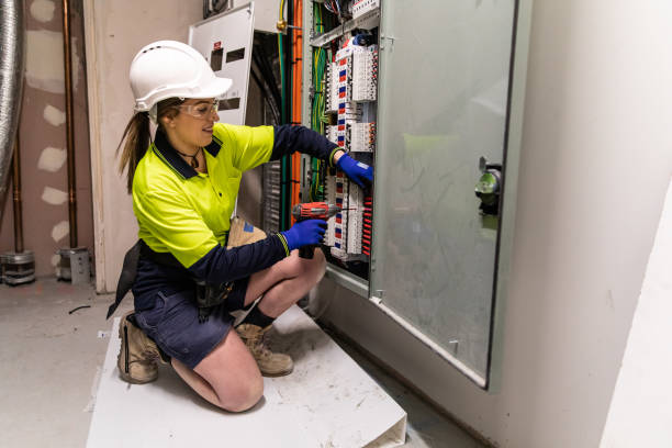 Best Electrical Repair Services  in Dundee, MI