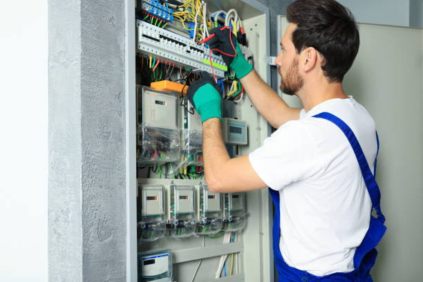 Best Home Electrical Repair  in Dundee, MI