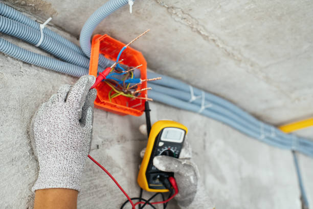 Best Emergency Electrical Repair  in Dundee, MI
