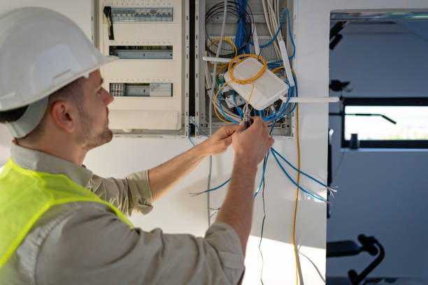 Best Residential Electrician Services  in Dundee, MI