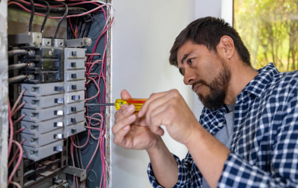 Best Electric Panel Repair  in Dundee, MI